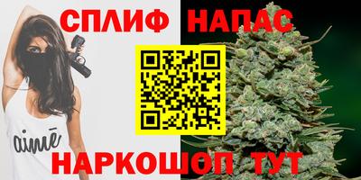 гашик Малоярославец