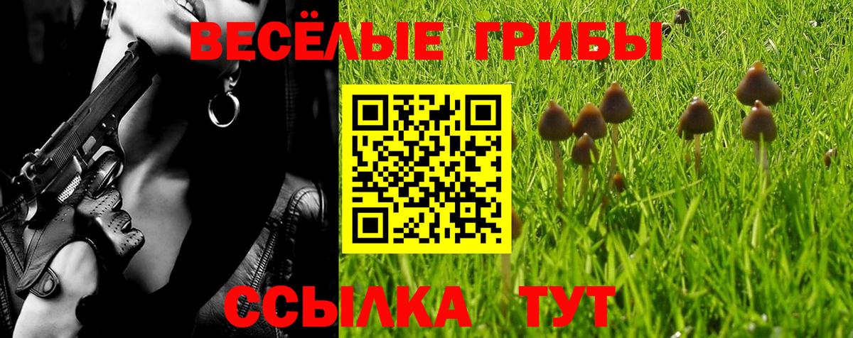 Дзержинск  Псилоцибиновые грибы GOLDEN TEACHER  Вход с VPN 